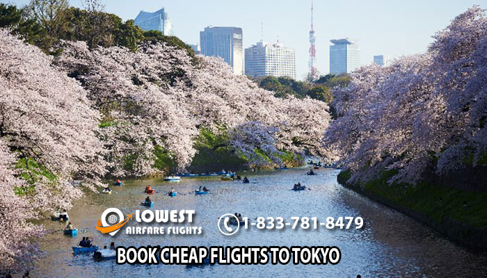 Book Cheap Flights to Tokyo